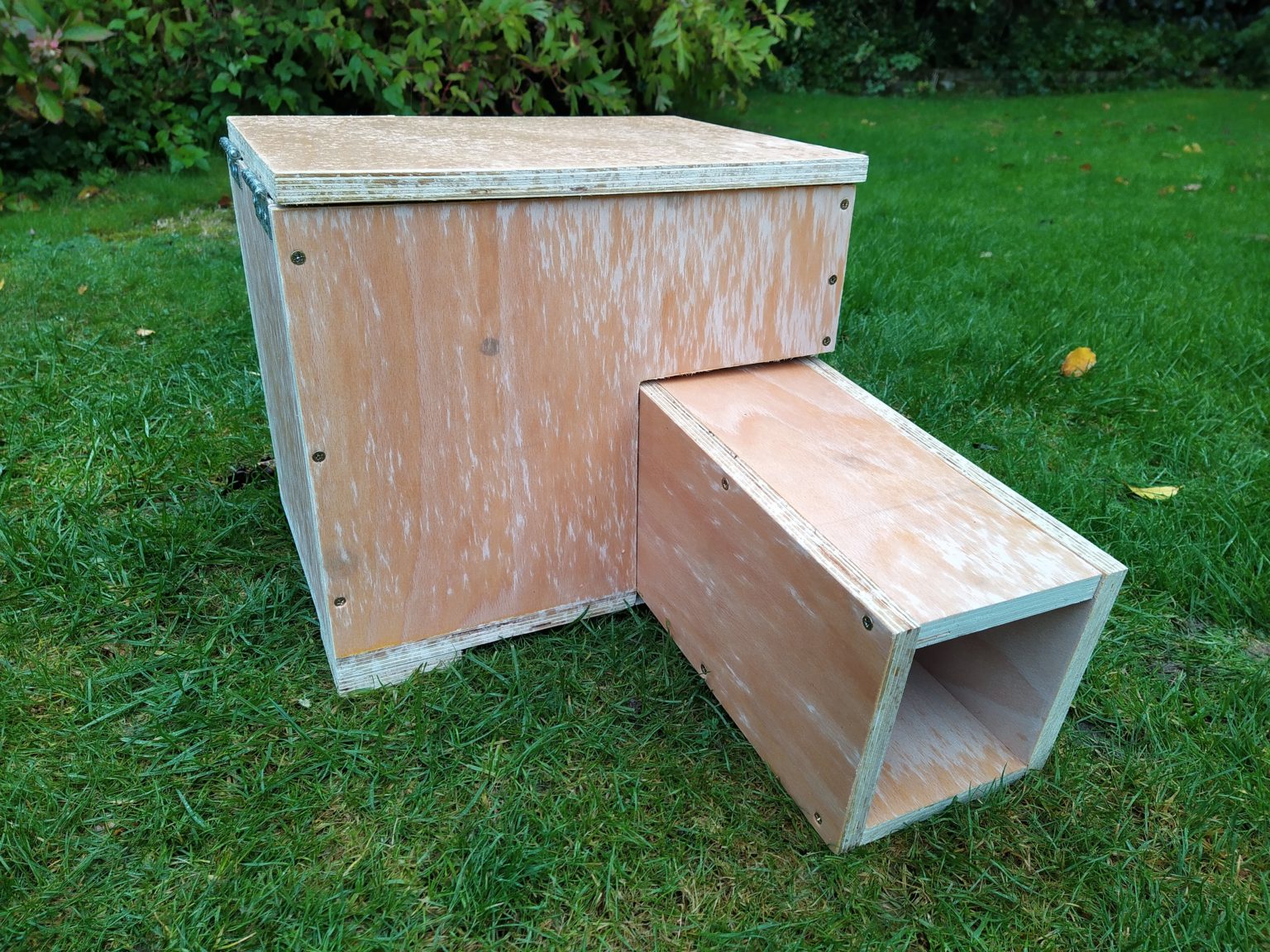 Building A Hedgehog House Uk