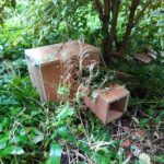 hedgehog house in a wild corner of the garden