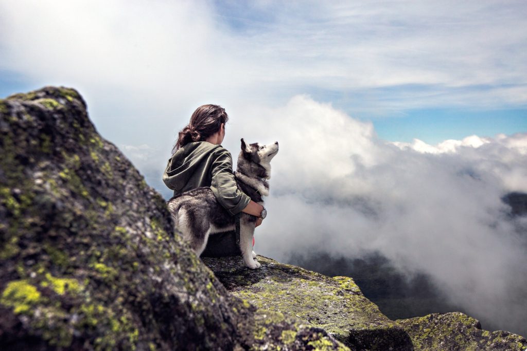Woman with a dog on a mountain enjoying the sunshine